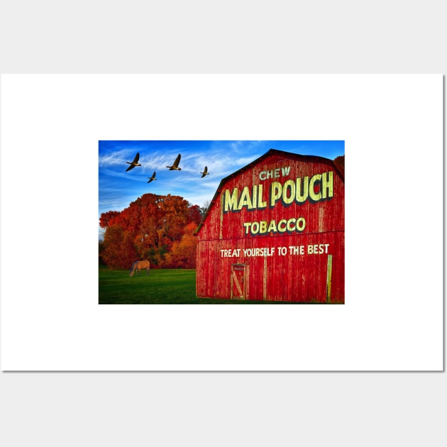 Mail Pouch Tobacco Barn Americana Wall Art by JimDeFazioPhotography